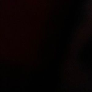 Meet your Posher, Hayley